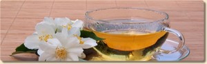 jasmin-tee