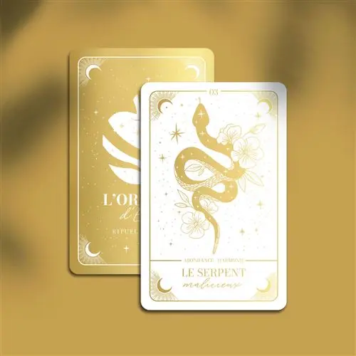 L-Oracle-Eve-Reveillez-la-femme-lumineuse-qui-sommeille-en-vous-Coffret (2).webp
