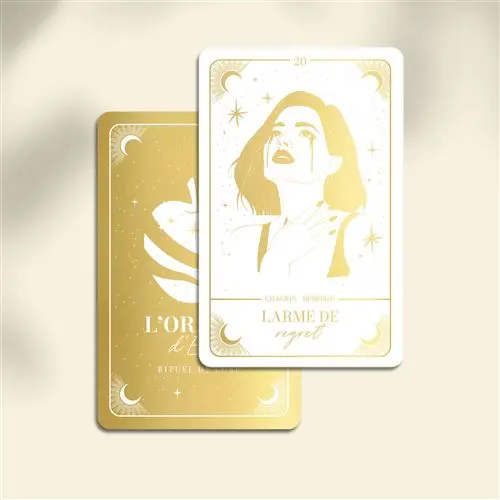 L-Oracle-Eve-Reveillez-la-femme-lumineuse-qui-sommeille-en-vous-Coffret.webp