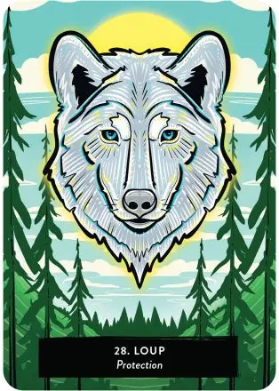 978_2_85327_989_5_ILLU_3_308_440_1710281511.webp