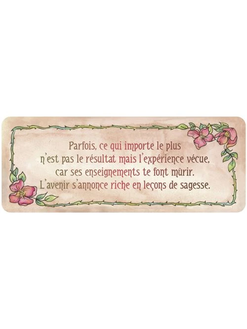 Le-petit-Oracle-divinatoire-de-Mademoiselle-Rose6.webp