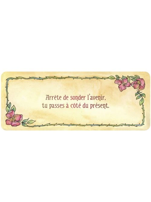 Le-petit-Oracle-divinatoire-de-Mademoiselle-Rose4.webp