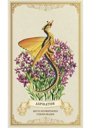 978_2_38135_046_2_ILLU_3_260_440_1627369296 (1).webp