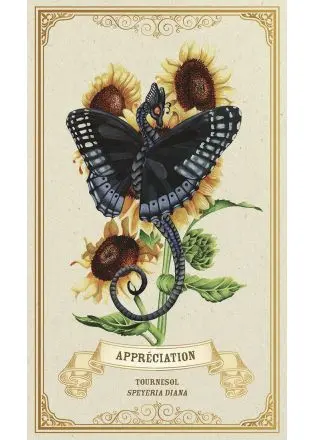 978_2_38135_046_2_ILLU_2_260_440_1627369258 (1).webp