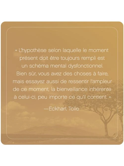L-Appel-du-moment-present-52-cartes-pour-calmer-l-esprit-et-vivre-dans-l-ici-et-maintenant3.webp