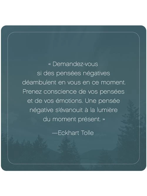 L-Appel-du-moment-present-52-cartes-pour-calmer-l-esprit-et-vivre-dans-l-ici-et-maintenant0.webp