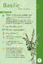 basilic-recto-203x300.webp