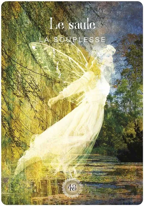 L-Oracle-de-la-foret-sacree (6).webp