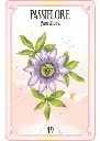 978_2_38578_071_5_ILLU_5_283_440_1725739380.webp