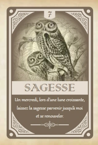 Capture d’écran 2026-04-24 à 23.11.12.webp