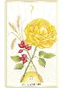 978_2_38135_427_9_ILLU_8_267_440_1742233885.webp