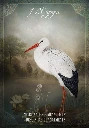 Mademoiselle-Lenormand4.webp