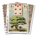 Lenormand-Oracle-card5.webp