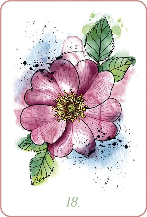 Mon-oracle-des-fleurs-de-Bach4.webp
