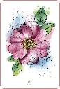 Mon-oracle-des-fleurs-de-Bach4.webp