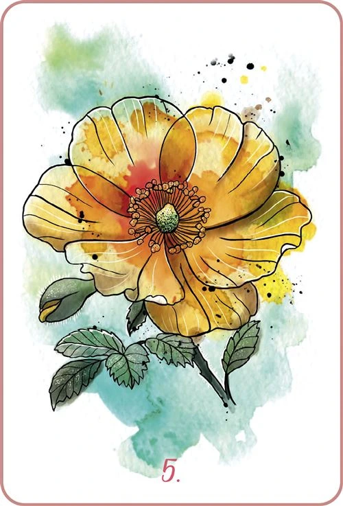 Mon-oracle-des-fleurs-de-Bach2.webp