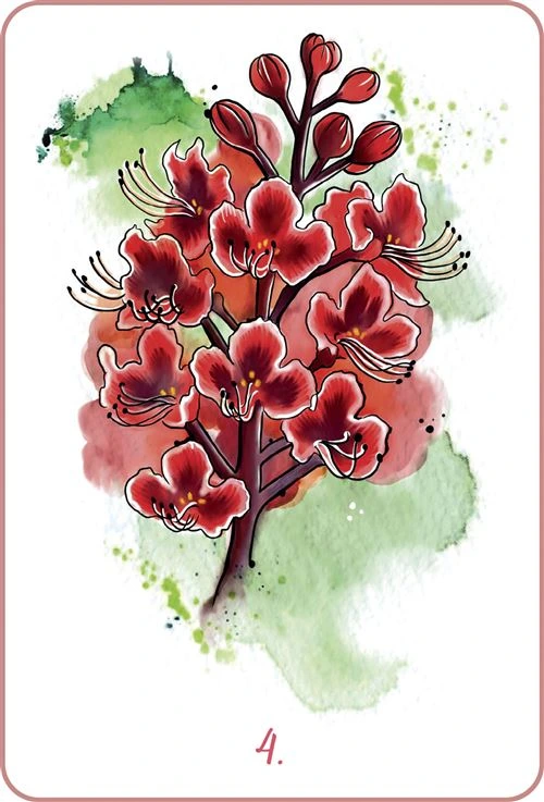 Mon-oracle-des-fleurs-de-Bach1.webp