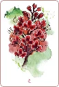Mon-oracle-des-fleurs-de-Bach1.webp