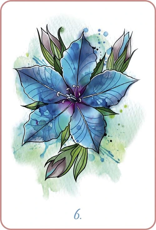 Mon-oracle-des-fleurs-de-Bach3.webp