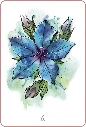 Mon-oracle-des-fleurs-de-Bach3.webp