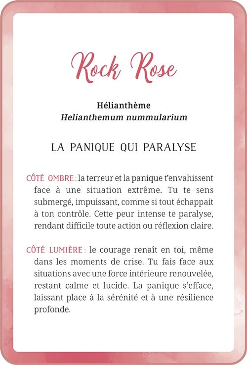 Mon-oracle-des-fleurs-de-Bach22.webp