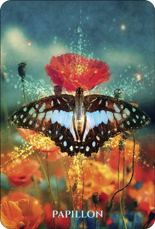 L-Oracle-des-Animaux-de-Lumiere4.webp