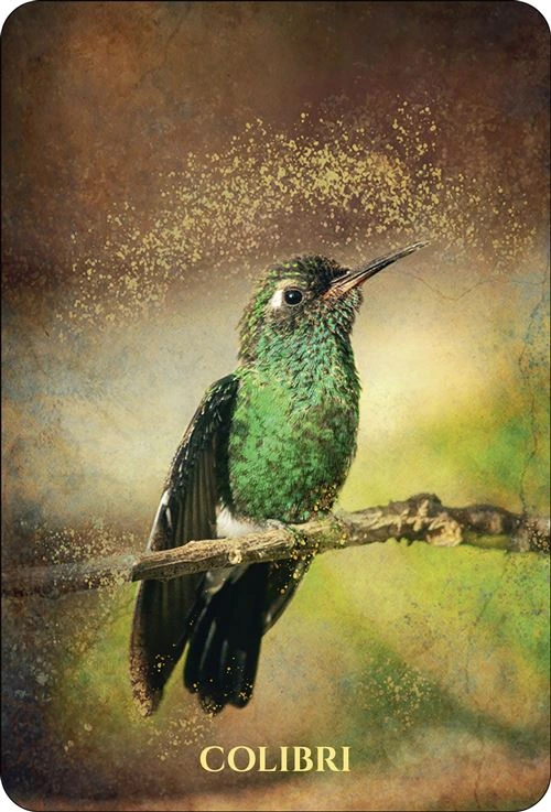 L-Oracle-des-Animaux-de-Lumiere3.webp