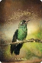 L-Oracle-des-Animaux-de-Lumiere3.webp