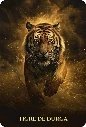 L-Oracle-des-Animaux-de-Lumiere6.webp
