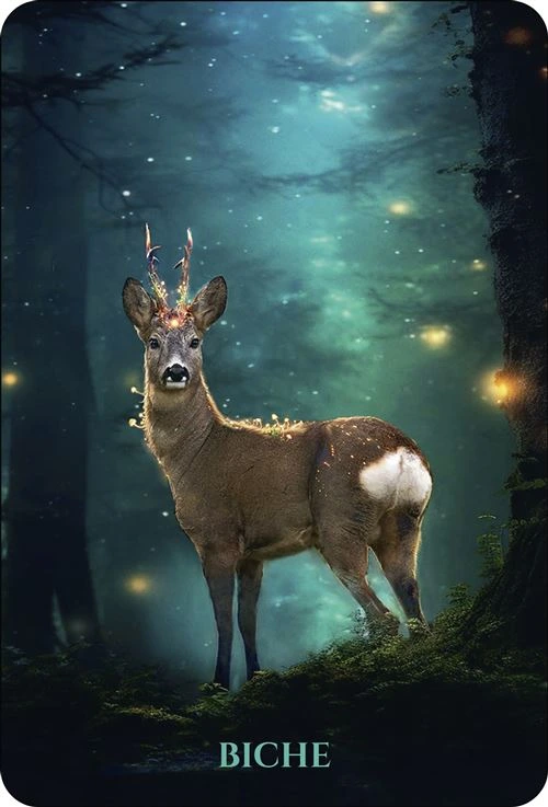 L-Oracle-des-Animaux-de-Lumiere11.webp