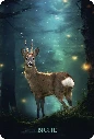 L-Oracle-des-Animaux-de-Lumiere11.webp