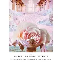 la-voie-des-artisans-de-lumiere-coffret (2).webp