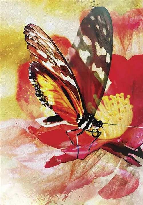 Oracle-Meages-des-papillons-Affirmations-positives-des-creatures-ailees.webp