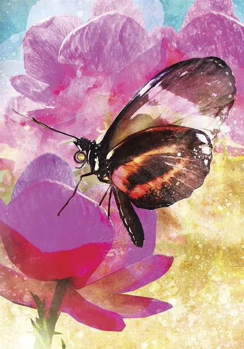Oracle-Meages-des-papillons-Affirmations-positives-des-creatures-ailees (8).webp