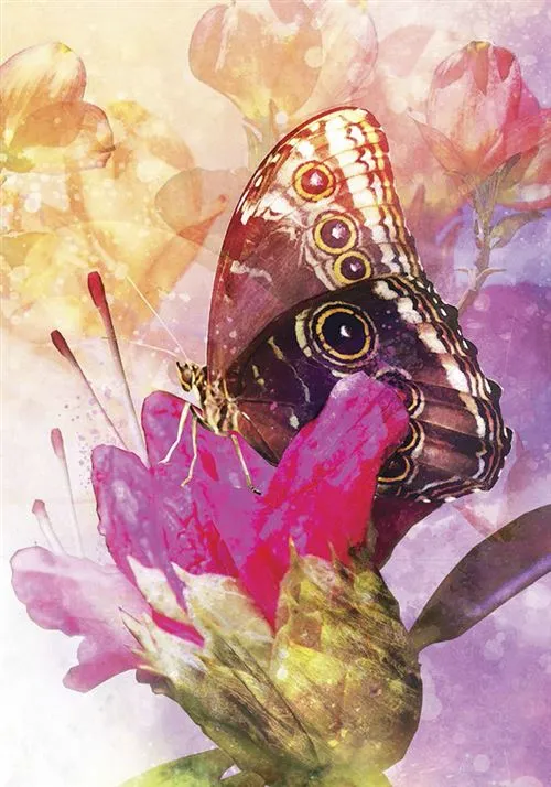 Oracle-Meages-des-papillons-Affirmations-positives-des-creatures-ailees (4).webp