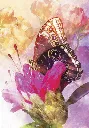 Oracle-Meages-des-papillons-Affirmations-positives-des-creatures-ailees (4).webp