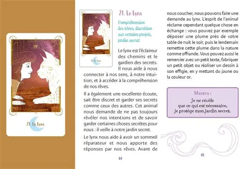 L-Oracle-des-femmes-et-des-animaux-de-pouvoir-Coffret (1).webp