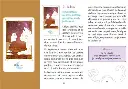 L-Oracle-des-femmes-et-des-animaux-de-pouvoir-Coffret (1).webp