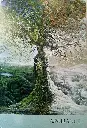 Murmures-de-la-Nature-de-Angela-Hartfield-et-Josephine-Wall-13 (1).webp
