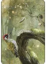 978_2_38135_524_5_ILLU_3_298_440_1769744554.webp