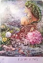 Murmures-de-la-Nature-de-Angela-Hartfield-et-Josephine-Wall-12 (1).webp
