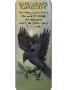 Le-petit-Oracle-de-la-feerie-des-bois6.webp