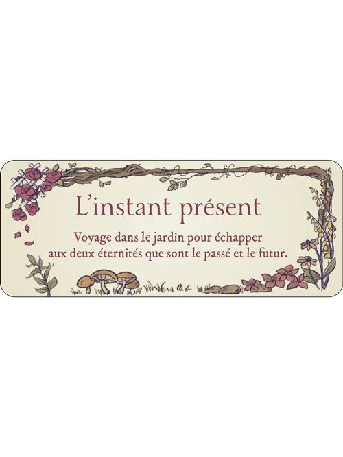Le-petit-Oracle-du-jardin-secret4.webp