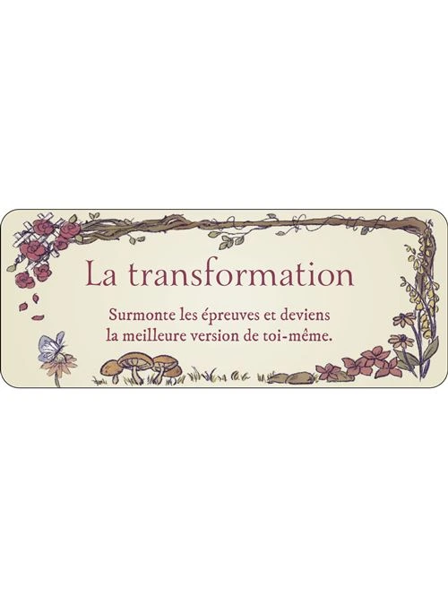 Le-petit-Oracle-du-jardin-secret8.webp