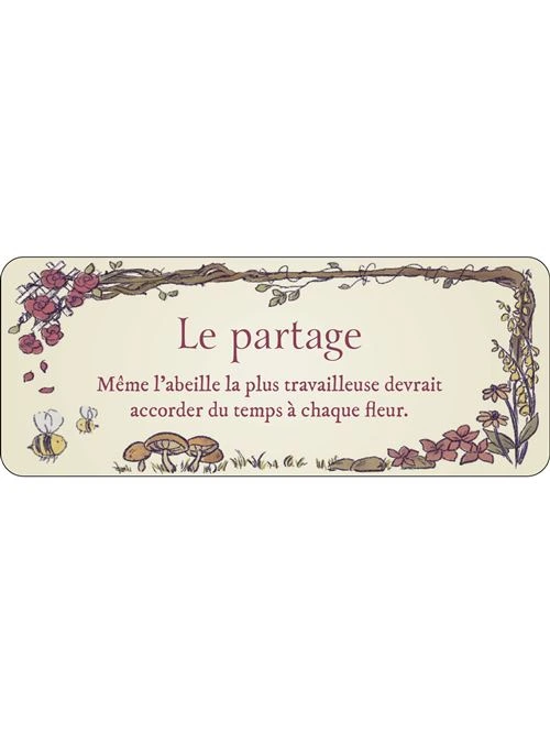 Le-petit-Oracle-du-jardin-secret5.webp