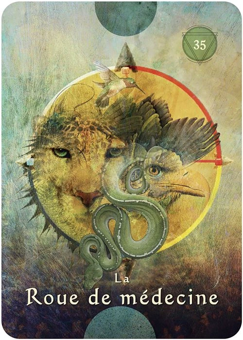 L-Oracle-Pocket-du-Chaman-Mystique3.webp