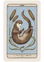 978_2_38135_454_5_ILLU_7_271_440_1743516887.webp