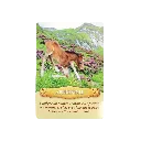 communiquer-avec-les-chevaux-coffret (4).webp