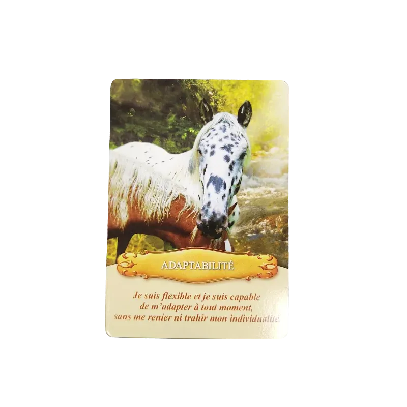 communiquer-avec-les-chevaux-coffret.webp