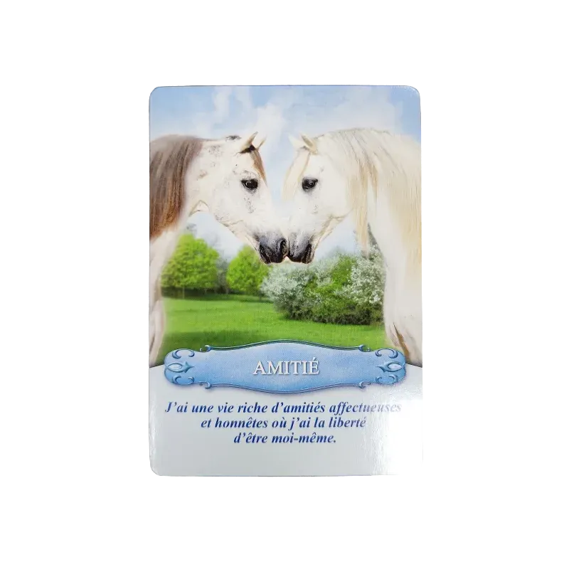 communiquer-avec-les-chevaux-coffret (2).webp